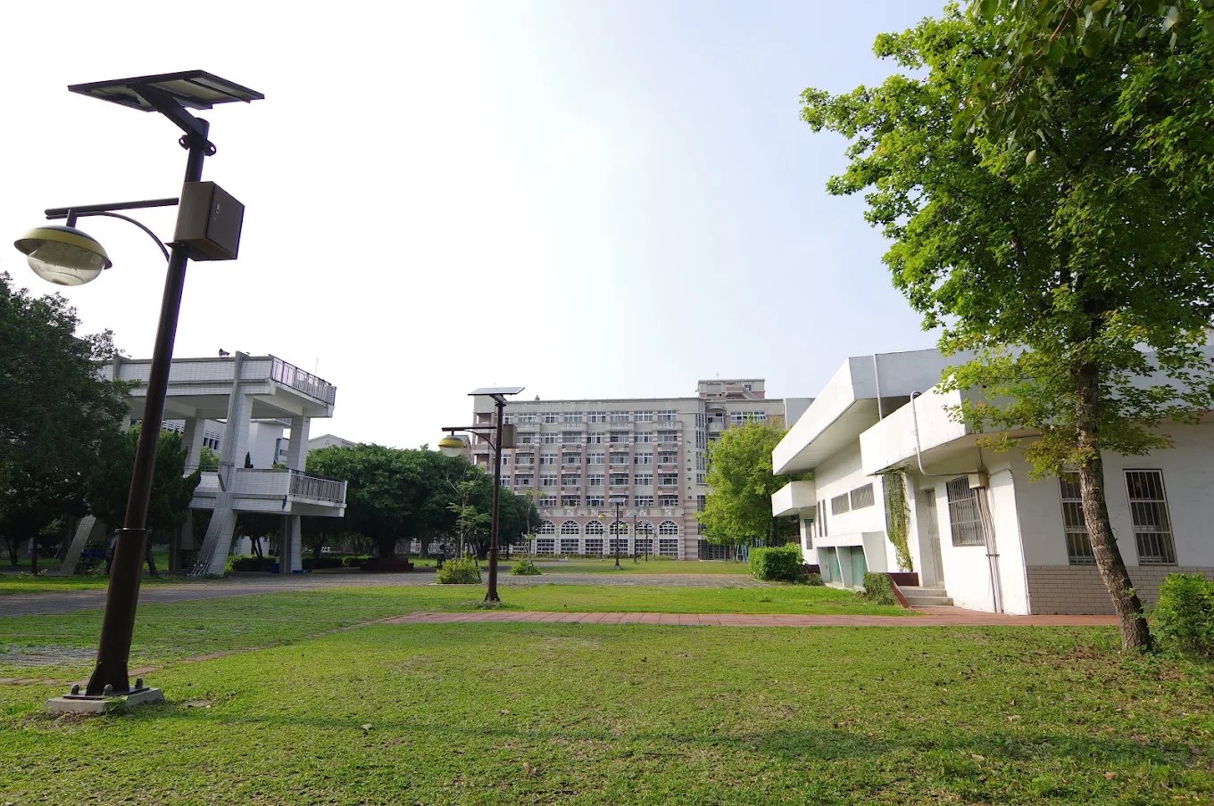 崇實高工校園的草坪與樹蔭